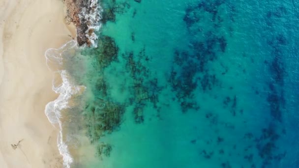 Красивый вид на пляж Папагайо на острове Лансароте — стоковое видео