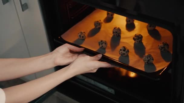 Jeune femme au foyer faisant des biscuits faits maison dans la cuisine — Video