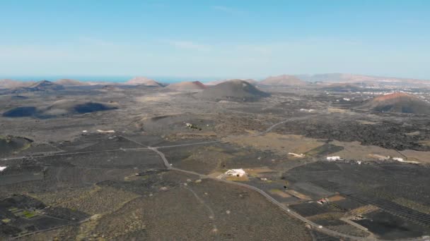 Letecký pohled na panorama vinic na Lanzarote — Stock video