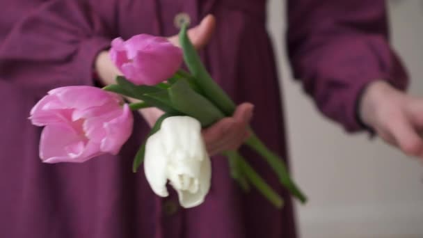 Close-up van bloemist verzamelen boeket tulpen bloemen — Stockvideo