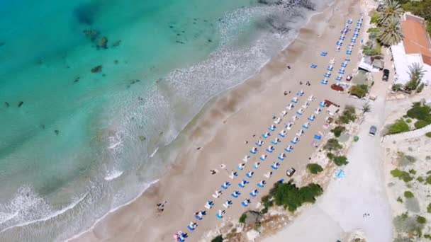 Homokos tengerpart a kristálytiszta Földközi-tengeren, légi kilátás, Ciprus — Stock videók