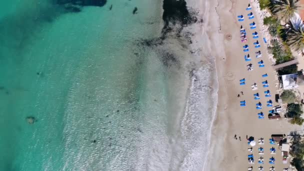 Toppen utsikt över sandstranden på stranden av kristallklart hav med solstolar och gäster — Stockvideo