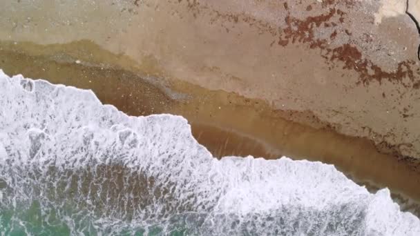 Onde potenti che si infrangono sulla spiaggia sabbiosa deserta, vista dall'alto — Video Stock