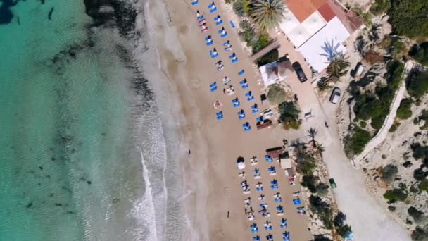 Şezlonglarla donatılmış kristal berraklığındaki deniz kıyılarındakumlu plajın en iyi manzarası, Coral Bay, Kıbrıs — Stok video