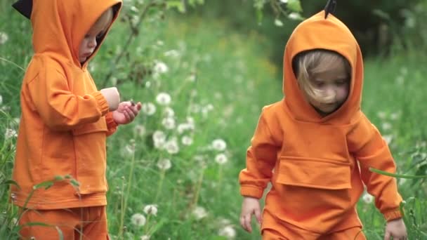 Piccoli ragazzi gemelli con cappuccio arancione brillante camminano nella natura, rallentano — Video Stock