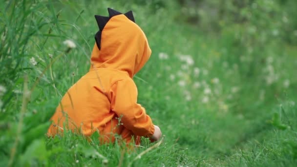 Liten pojke i orange hoodie upptåg i högt gräs, slow motion — Stockvideo