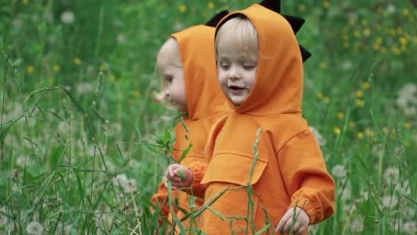 Joyeux petits frères jumeaux en costumes de dragon jouer dans l'herbe haute, au ralenti — Video