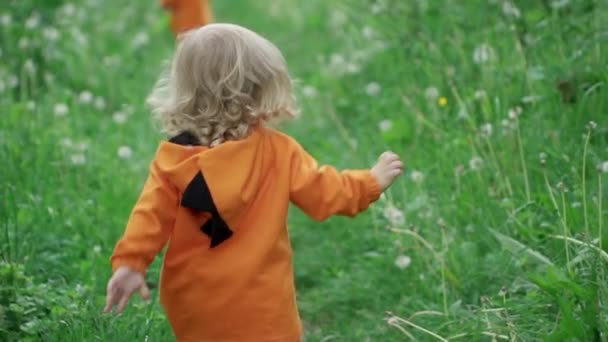 Little Boy in Orange Hoodie Runs on Grass, slow motion — Stock Footage Little Boy in Orange Hoodie Runs on Grass, slow motion Royalty Free Stock Video