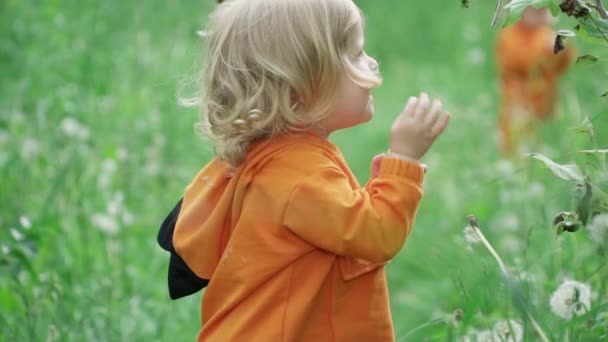 Портрет маленького радостного мальчика, играющего на природе, замедленной съемки — стоковое видео