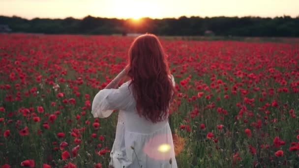 Young red-haired woman throws hair into air in flowering field of poppies at sunset, slow motion — Stock Video