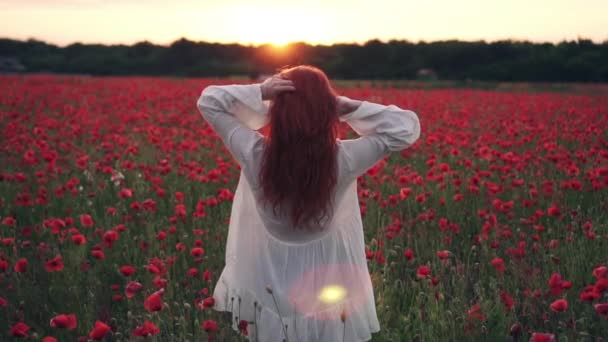 Red-haired woman throws her hair up standing in field of poppies in rays of setting sun, slow motion — Stock Video