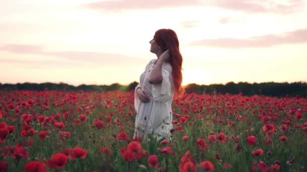 Mulher ruiva feliz gira em um campo de papoula florido ao pôr do sol, vista traseira — Vídeo de Stock