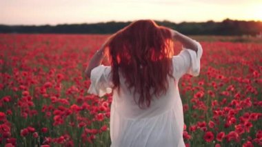 Neşeli kırmızı saçlı kadın Poppies çiçekli alan üzerinden çalışır ve kamera doğru etrafında döner.