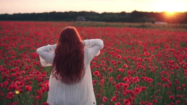 Roodharige vrouw gooit haar haar omhoog staande in het veld van papavers in de stralen van de vaststelling van zon, achteraanzicht — Stockvideo