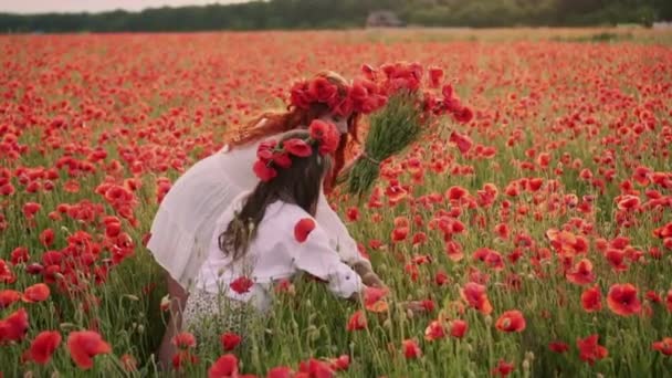 A mãe nova com a filha pequena reúne flores de papoula vermelhas em um campo florescente, câmera lenta — Vídeo de Stock