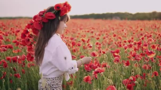 Маленькая девочка с венком на голове собирает красные цветы мака в цветущем поле, замедленная съемка — стоковое видео