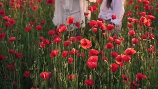 Gelukkige moeder en kleine dochter staan in bloeiende veld in kransen van wilde papaver bloemen, Steadicam shot — Stockvideo