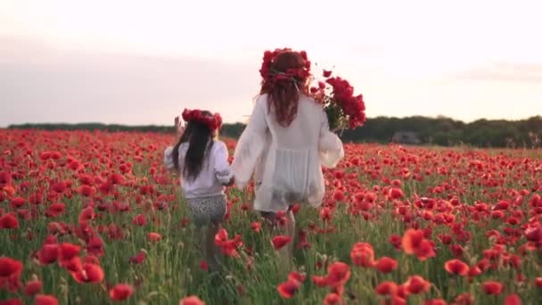 Maman et fille heureuses courent à travers le champ de pavot en fleurs au coucher du soleil, vue arrière, ralenti — Video