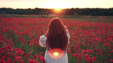 Kızıl saçlı kadın güneş ayarı ışınları içinde Poppies alanında ayakta saçlarını atar, arka görüş