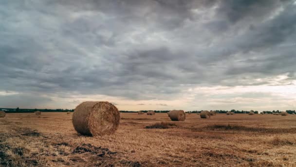 Круглые стопки соломы на скошенном поле, хронометраж — стоковое видео