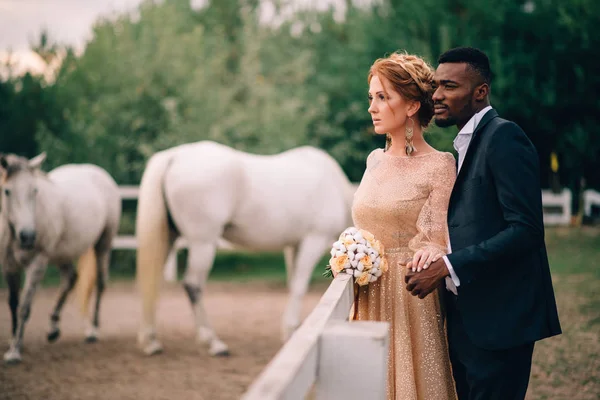 Des jeunes mariés sensuels se tiennent sur un ranch entouré de chevaux — Photo