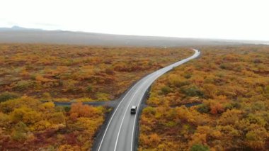 Sonbahar manzarası, İzlanda, ulusal park Thingvellir 'de yol boyunca giden araba görüntüsü