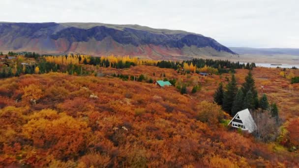 Widok z lotu ptaka na kolorowy jesienny krajobraz w parku narodowym Thingvellir, Islandia — Wideo stockowe