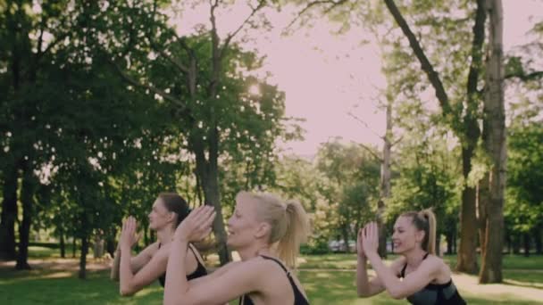 Grupo de mulheres fazendo esportes ao ar livre. — Vídeo de Stock