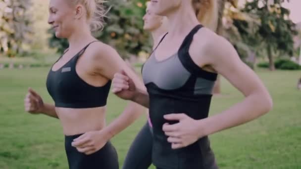 Группа женщин занимается спортом на открытом воздухе. — стоковое видео