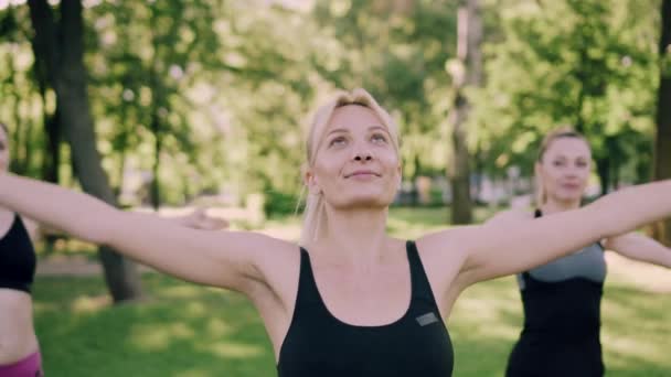 Fitness d'équipe dans le parc. — Video