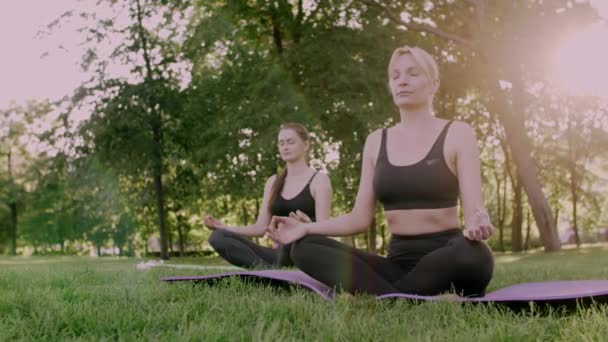 Group yoga outdoors in the park. — Stock Video