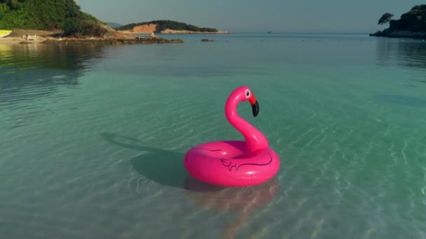 Flamingo rosa inflável no mar . — Vídeo de Stock