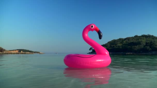 Flamingo rosa inflável no mar . — Vídeo de Stock