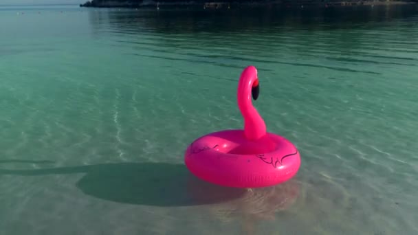 Flamingo rosa inflável no mar . — Vídeo de Stock