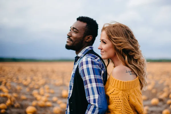 Pareja de pie en el campo de calabaza. —  Fotos de Stock