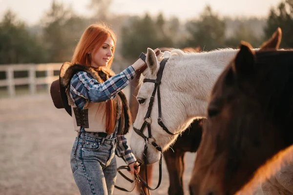 Woman farmer works with horses. — Stock Photo, Image