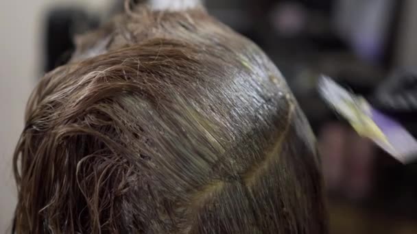 Haarkleuring in de salon. — Stockvideo