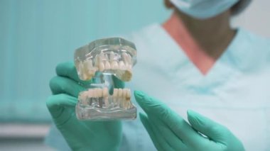 İnsan çene modeli.