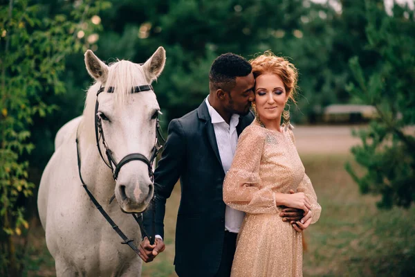 Los recién casados están de pie cerca de un caballo blanco —  Fotos de Stock