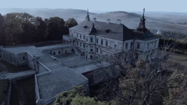 Légi felvétel egy komor kastélyról. — Stock videók