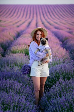 Bir pug ve sahibinin portresi. Genç, kızıl saçlı bir kadın, köpeğini çiçek açan bir lavanta tarlasında kollarında tutuyor. Pug ve kadın kameraya bakıyor..
