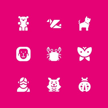 9 hayvan Icon set grafik tasarım ve web için yengeç, origami ve maymun vektör çizim ile