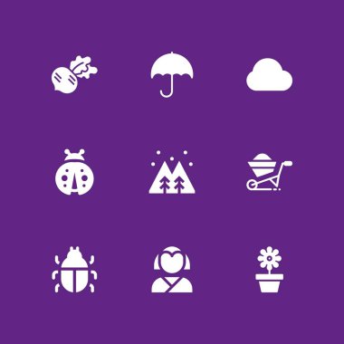 9 bahar simgesi ile grafik tasarım ve web için hata, orman ve şemsiye vektör çizim seti