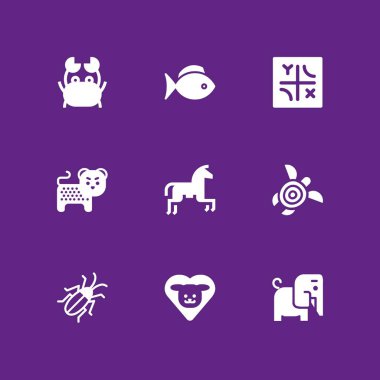 hayvan Icon set. grafik tasarım ve web için fil, Çita ve horseriding vektör simge