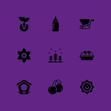 bahar Icon set. grafik tasarım ve web için kuş evi, yumurta ve besleyici vektör simgesi