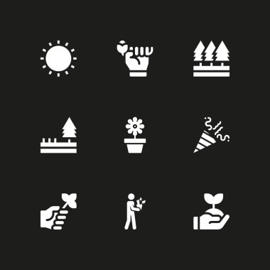 bahar Icon set. filiz, havai fişek ve grafik tasarım ve web için güneş vektör simge