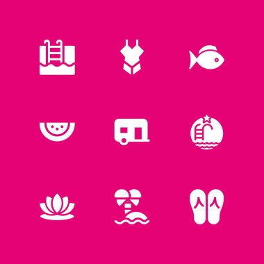 su Icon set. grafik tasarım ve web için Yüzme Havuzu, karpuz ve mayo vektör simge