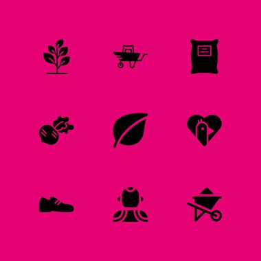 bahar Icon set. grafik tasarım ve web için Hawaii, turp ve bitki vektör simge