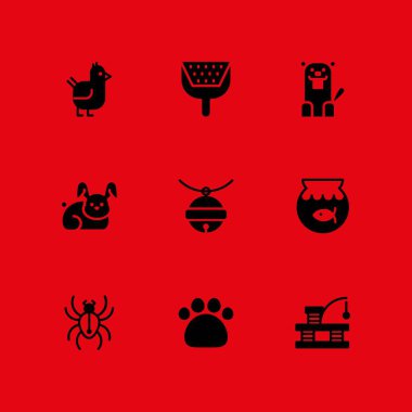 hayvan Icon set. pençe baskı, grafik tasarım ve web için örümcek ve çöp kutusu vektör simgesi