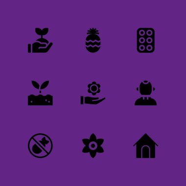 Doğa Icon set. çiçek, yumurta ve grafik tasarım ve web için filiz vektör simge